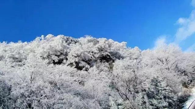 懒惰男孩拯救