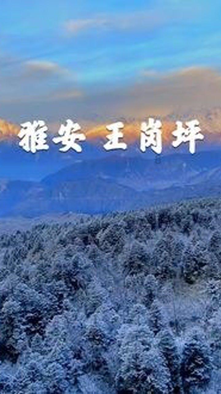 芭比滑稽服装