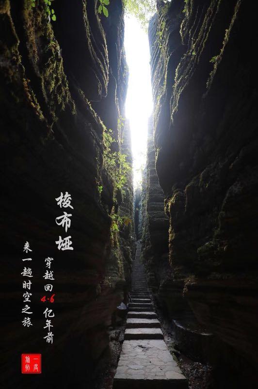 可爱吊带裙