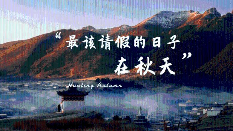 全民剧本大师内置菜单