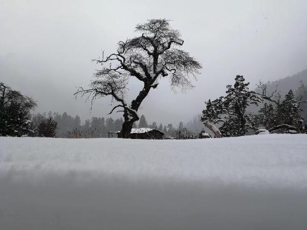 关爱听障人群,普及冰雪运动