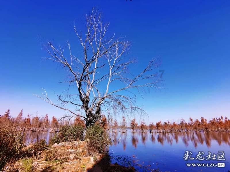 【书荒推书】架空历史大神的宋代穿越文