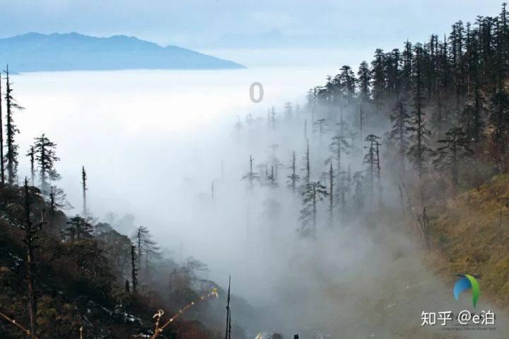 《蒙娜丽莎》的微笑为何老是惹恼抗议者？