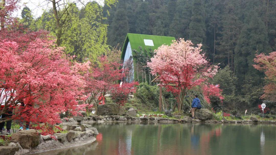 光大期货：1月30日矿钢煤焦日报