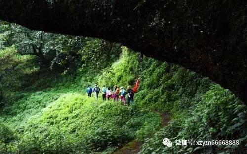 小狗救援行动选关版
