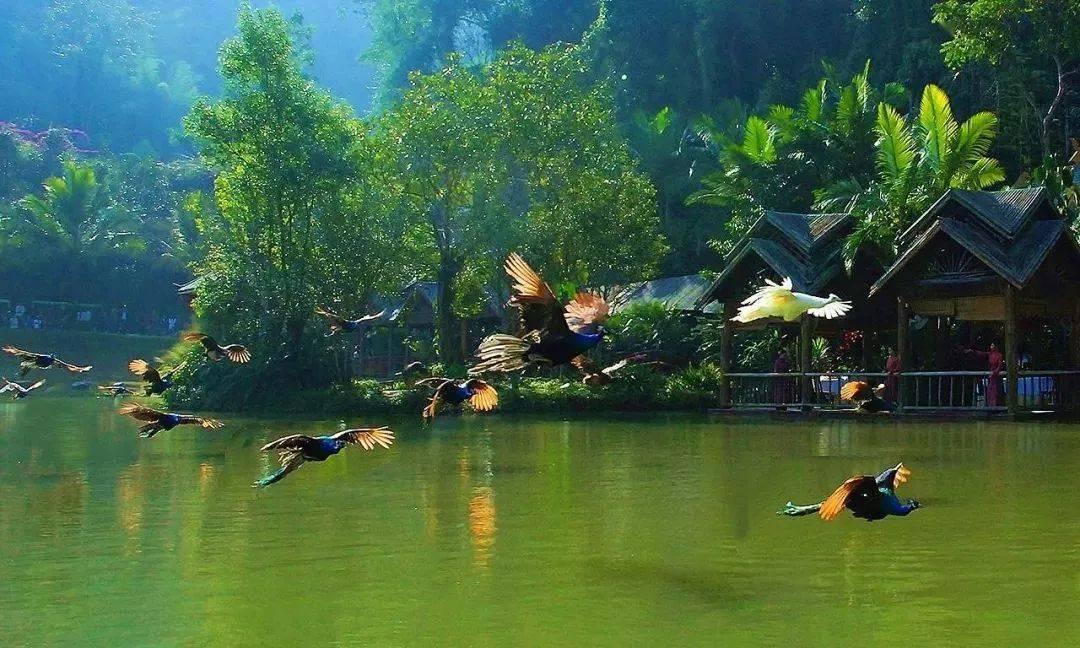 妻子能用老公的农村医保吗？游戏画面