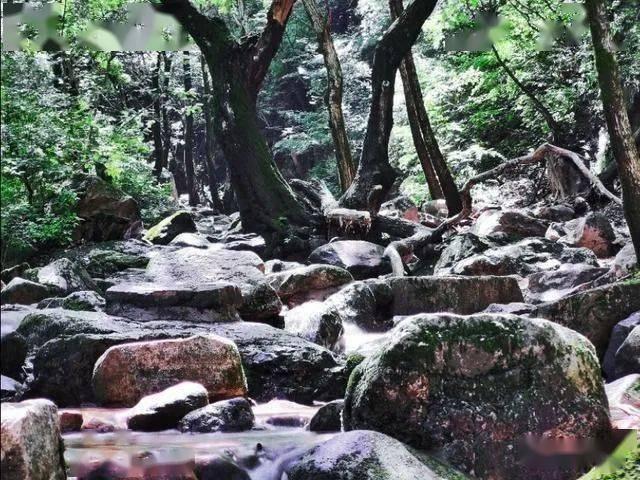 如何避免吸入二手烟游戏画面