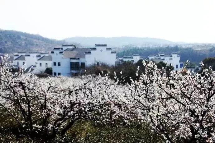 逃离豪宅大厦4
