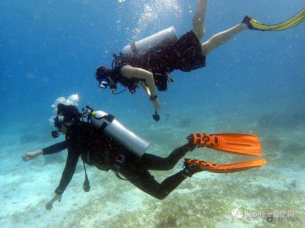救援海盗章鱼