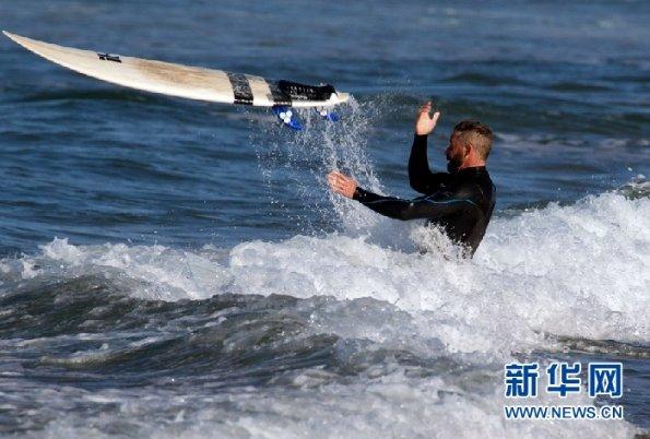 新“椿”鲜味浓