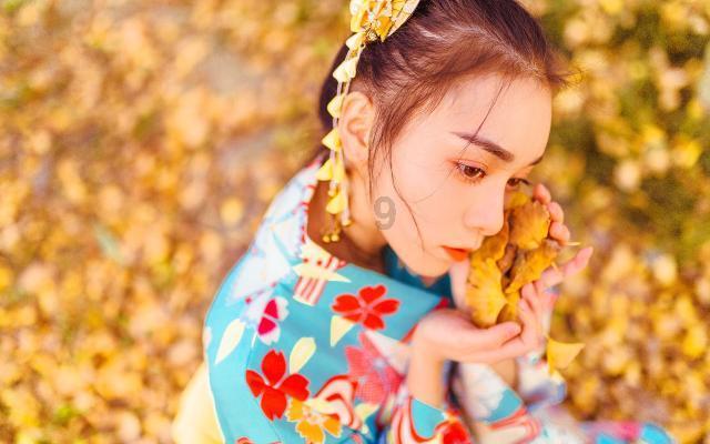 胖小猫救援