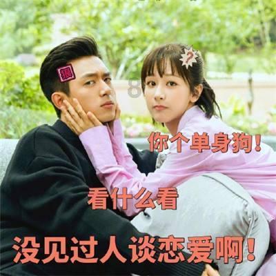 小猫钓鱼开船版最新版下载