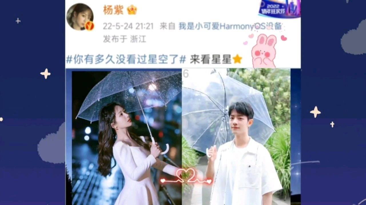 迷你忍者