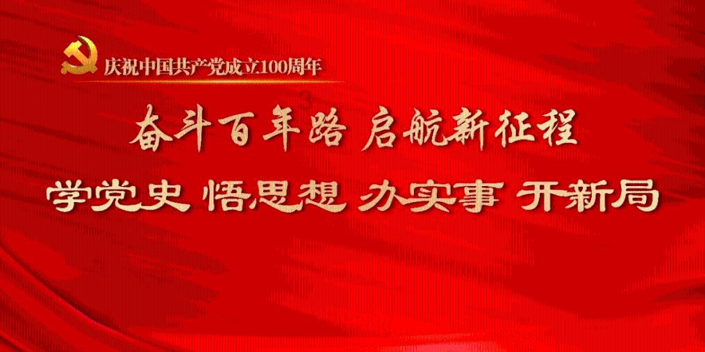 小猫钓鱼正版下载中文版
