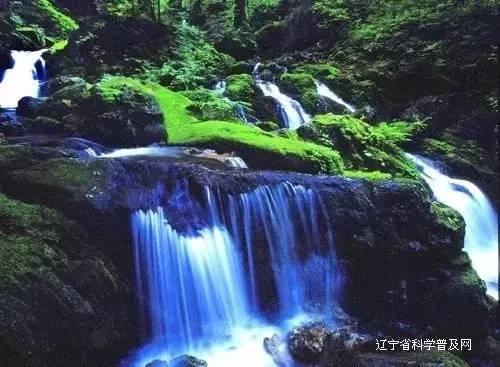 玛丽皇后的时装