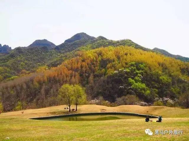 揭牌!省司法厅“候鸟”法治人才工作站成立