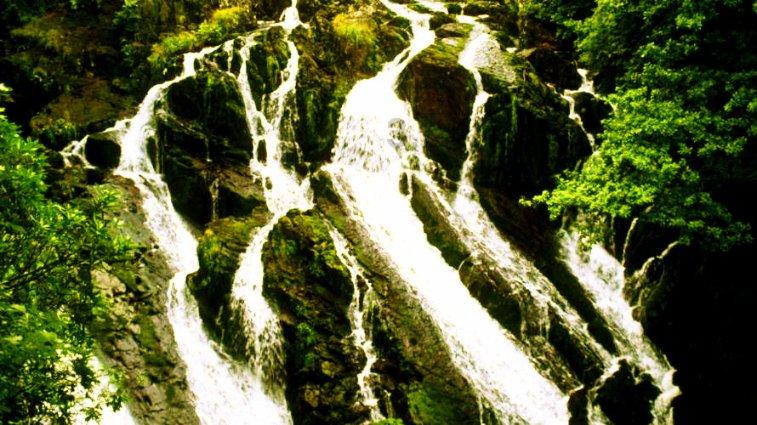 宝可梦探险寻宝