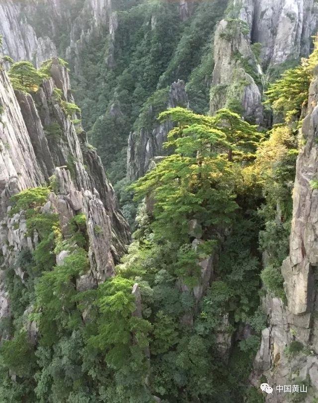 原始人打棒球
