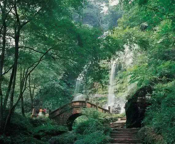 刺客信条：大革命