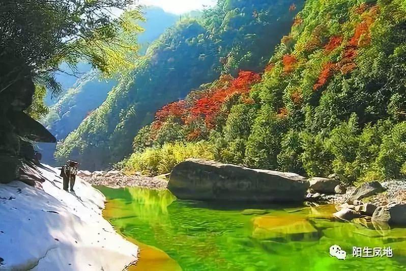 情感咨询在线聊天