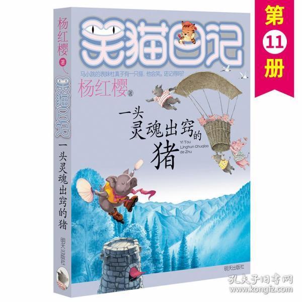 可爱小猫的发廊