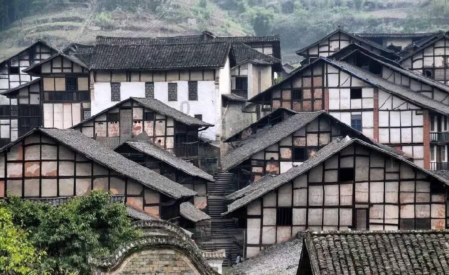 大金狮逃生