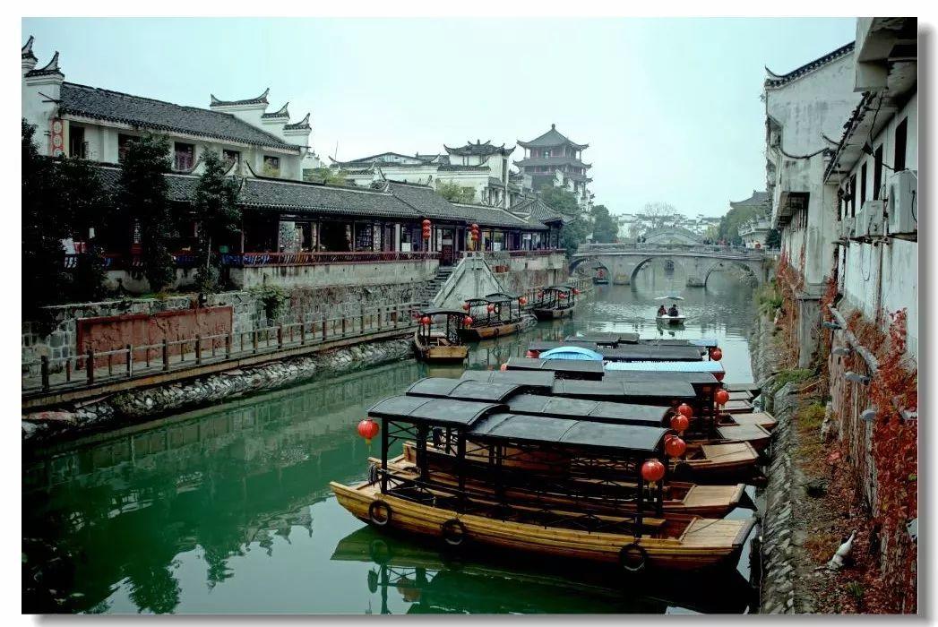 凤凰不好惹