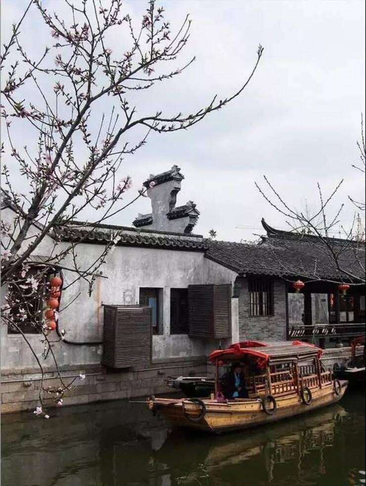 植物大战僵尸21