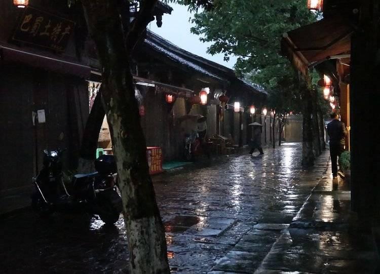 动物帮帮忙保卫家园