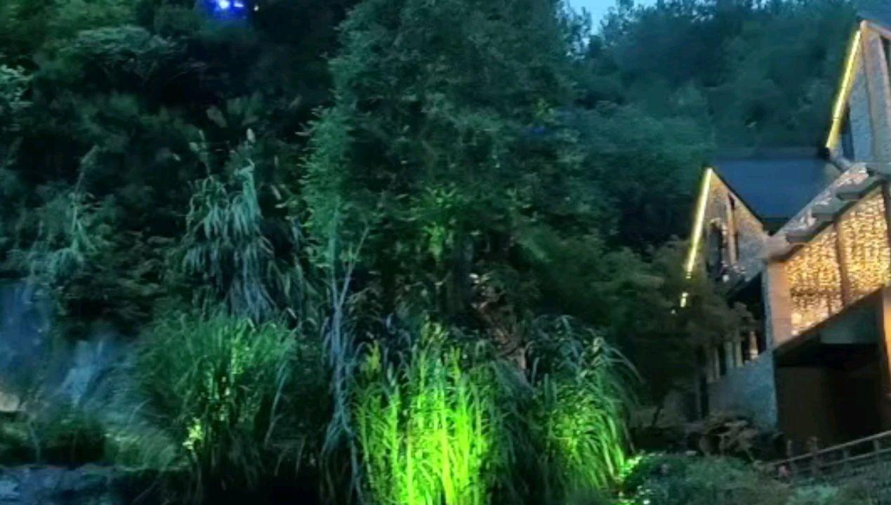 陈若仪尝试唤醒林志颖，病房内过结婚纪念日，恢复怎么样了？游戏画面